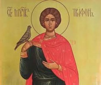Sfântul Trifon Ocrotitorul; Ocrotitorul Animalelor și Păsărilor.
