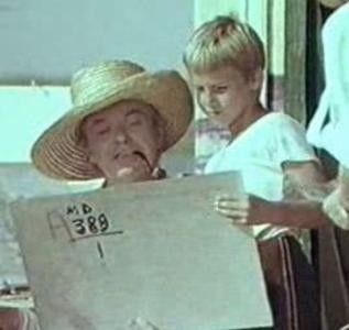 Sosesc Pasarile Calatoare