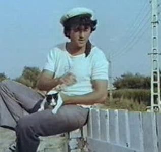 Sosesc Pasarile Calatoare