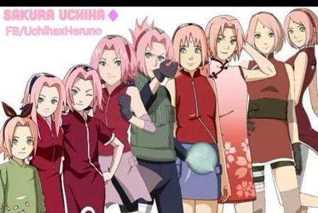 Sakura   (evolutie)