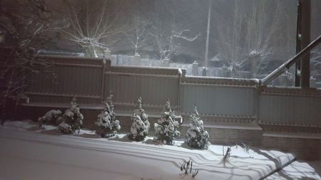Ninge la Suceava