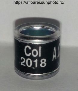 COL 2018