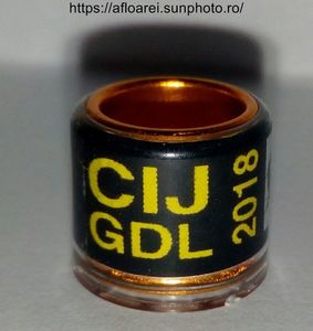 CIJ GDL 2018