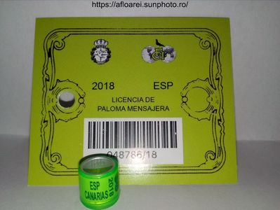 ESP CANARIAS 2018