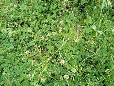IMG-20180202-WA0065