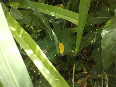 IMG-20180202-WA0064