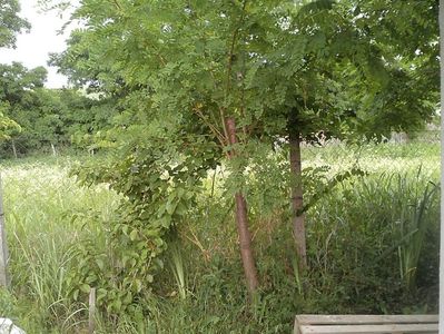 IMG-20180202-WA0050