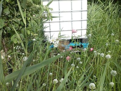 IMG-20180202-WA0056