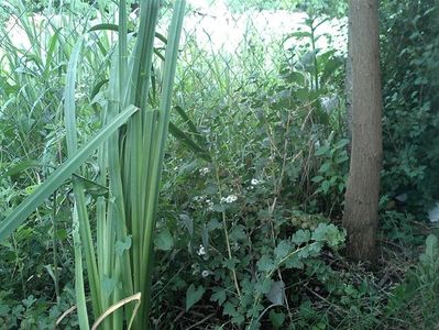 IMG-20180202-WA0052