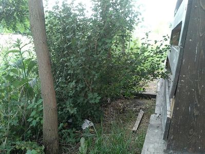 IMG-20180202-WA0053