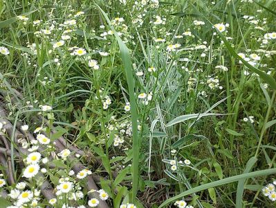 IMG-20180202-WA0023