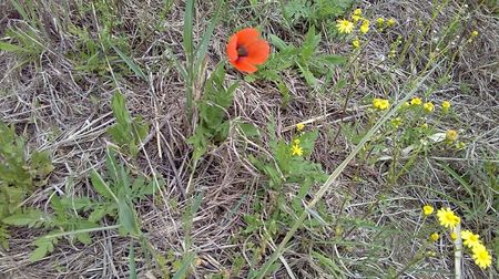 IMG-20180202-WA0034