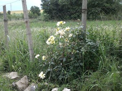 IMG-20180202-WA0039