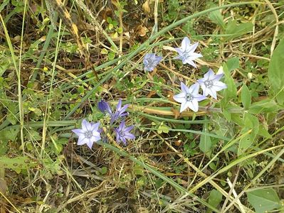 IMG-20180202-WA0027