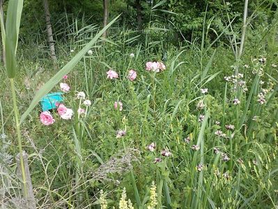 IMG-20180202-WA0018