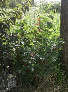 IMG-20180202-WA0024