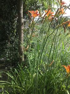 IMG-20180202-WA0003