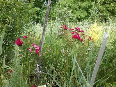 IMG-20180202-WA0004
