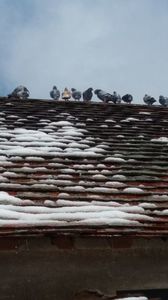 Cu schiuri in picioare asteptam primăvara