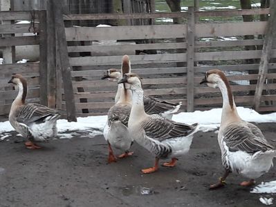 20180324_171601(0)