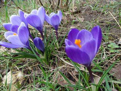 17.03 cu soare si18grade