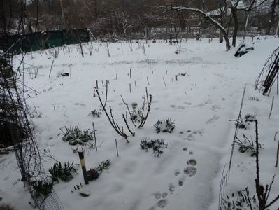 22.03 vreme rea si zapadade 15cm
