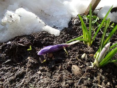 24.03 dupa cod portocaliu de vant, galben de ninsori