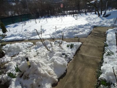 zapada inca de20cm langa casa, unde a troienit 70cm