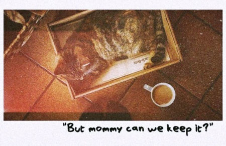 ❪19M̭a̭r̭2018❫　▪ ·ꕥ· ▫　written by ̭Ḽi̭a̭m̭.; 　◊Ṭ̣ḥ̣ọ̣ụ̣g̣̣ḥ̣ṭṣ: ❝Always asking mommy, never paying attention to daddy..❞　　● ℒ　▪ ▪ ▪ r̤e̤a̤c̤t̤i̤o̤n̤s̤ ▪ ▪ ▪ ✧ ▬✾ imgbox.com/hITyYsZy ✾▬
