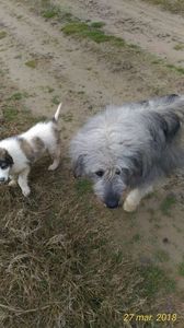 Kaya&Sultan