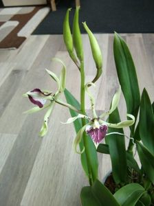 30.03.2018
