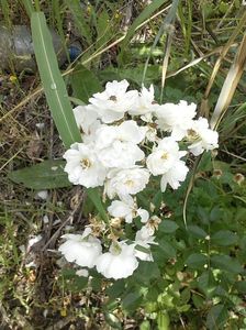 IMG-20180202-WA0007