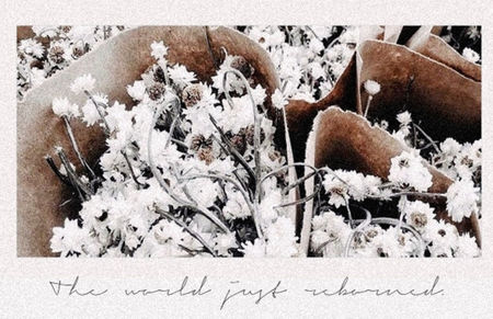 Klausؙ♢[Ṇọṭẹṣ]　　▪ ▫　◜03ʳᵈ̶A̶̶p̶r̶♦2018◞; 　ꕥ ▫ ▫ ▪ Note ▪ ▫ ▫ ꕥ ༄Let me buy you every dandelion on the earth, even in summer, even in winter.　　― K, ༺r̤e̤a̤c̤t̤i̤o̤n̤s̤༻ [imgbox.com/wJy9iAnr] ▫⑆
