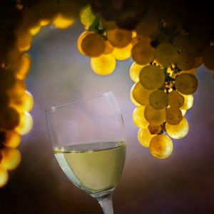 poza-bonus-1-300x300; vin de o calitate buna. stoc limitat.
