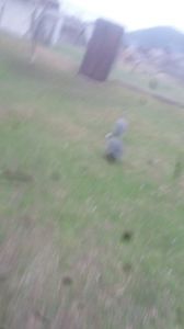 20180406_181257(1)