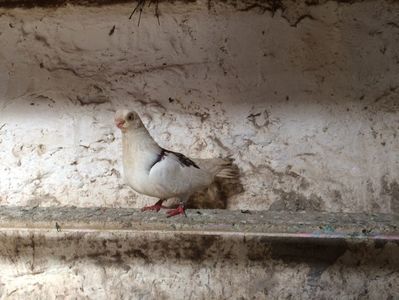 13D68328-BB37-4840-8F93-9CDEDA76735B