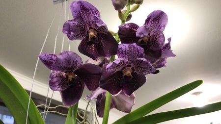 ADC424FD-F9A5-4B4D-8FC6-A6EC96726006