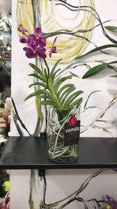 0E852702-839D-4F71-B7FF-82E31D9825BC