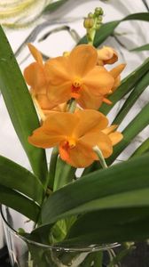 63BC7BB6-9847-4E5F-9FA6-D3D1F3DC5AA0