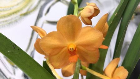 05AEB572-DB07-408C-966E-A1CC83942C05