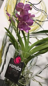 28BA0B45-0002-4EE3-A574-2AFE796EFDCF