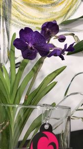 E953E971-3530-42CC-8B54-12F243958D28