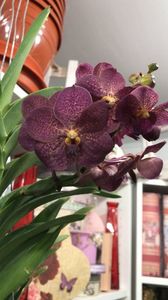 F5370C1C-BB58-463A-A005-AA97B2E8B731