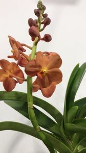 6E57B769-0281-4DA1-9E51-A5CAE3557BB8