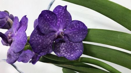 343E5DD8-4570-472E-980C-413770FDFB2A