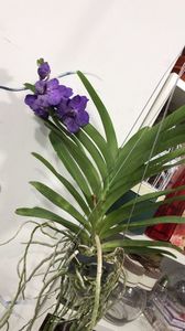 EA41A2EA-C0B7-4164-8AB6-8E7CDCED6C7A