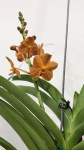 9B4A4104-99DA-4626-B415-3112AB9909ED