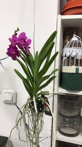 E1D37D72-C5BF-4E3D-B50E-8F4BE47AE8FB