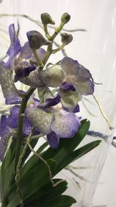 0E99F76A-1E5A-43C2-AB7B-BFD75DAAF20A