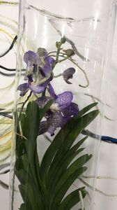 6D716549-3105-4375-A392-2ACD3F64E140